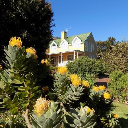 Villa La Paz Hout Bay Exterior photo